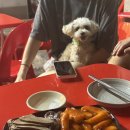 명품빨강오뎅 이미지