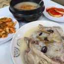장수촌마을 | 밤일마을맛집 장수촌 누룽지닭백숙 몸보센 제대로 하고 온 후기