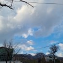 종로-종로-종로-종-314 | 서울 골목투어 ep14 : 서울역사박물관, 경희궁, 덕수궁 with 에무 (Emu)