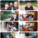 러브펫츠 이미지