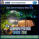 “서울 근교 힐링 캠핑지 추천! 설매재자연휴양림 캠핑후기 A-14”