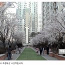 대림조경 이미지