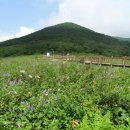 곰배령 - 춘천시 | 곰배령