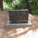 교룡로 티스토리