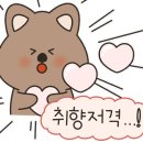 메이플커피라운지 이미지
