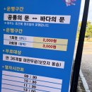 2023 경남 고성공룡 세계 엑스포 할인 정보공유, 솔직후기 및 꿀팁 대방출