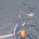 오산항낚시터 이미지