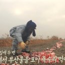 태안식육점