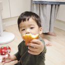 [자동차 책] 아기 무브무브 플랩북 내돈내산 후기