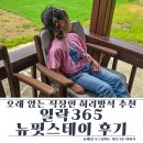 오래 앉는 직장인 허리 방석 추천 일락365 뉴멋스테이 후기