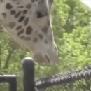 기린PC방 이미지