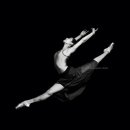 로잔발레학원 이미지