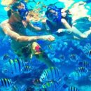 292-3-000002 이미지