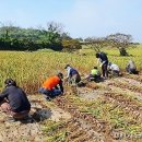 제주보호관찰소 파이낸셜뉴스