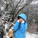 봉산민박 네이버블로그