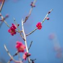 삼성25공인중개사사무소 이미지