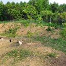 서동골농장 이미지