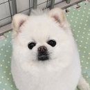 반자주 진해점 이미지