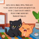 안양펫동물병원 이미지