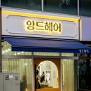 앙드헤어 이미지
