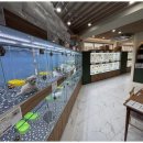 강아지와고양이 이미지