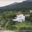 컴투펫 위탁보호센터 이미지