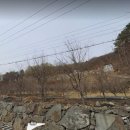 광재농장 이미지