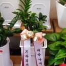 지에스(GS)25 운암벽산점 이미지