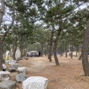 율포솔밭해수욕장 관광안내소 이미지