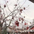 해아원