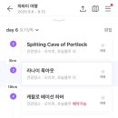 아일랜드 앤 코 이미지