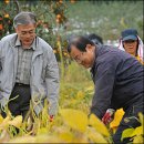 남궁농원 이미지