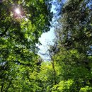 월정사 화장실 이미지