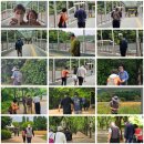 🙏 고린도전서 10:1~13 영적 자만을 버리고 교훈을 얻으십시오 이미지