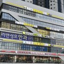 해운대 탑정형외과 솔직후기(feat. 원장님, 인포데스크, X-RAY실, 물리치료실)
