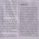 예능나라 이미지
