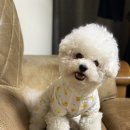 사림동248 | 창원왁싱 아나덴 슈가링왁싱 창원중앙역점 찐 리얼 후기