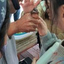 월영농장 이미지