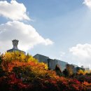 원격대학형태 이미지