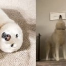 강남대로79길 42 (1) 이미지