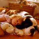 멍멍선생 이미지