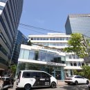 더파인즈 | 명동성당 뷰 끝판왕, 파인즈 카페 테라스 후기