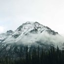 화산공원중앙 이미지