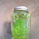 디퓨저 만들기 이미지