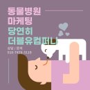 더블유동물병원 이미지