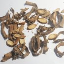 보성운해녹차 이미지