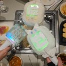 범어천로 지성학원 앞 | 260320 ~ 260329 드림쇼4 앙콘 후기 [부제 : 정신뼝을 얻다.] 그리고 4월의 이야기