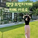 cafe 255 (카페 이오오)