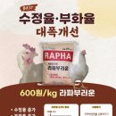 에스팜