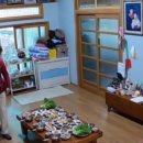 정자나무집민박 이미지